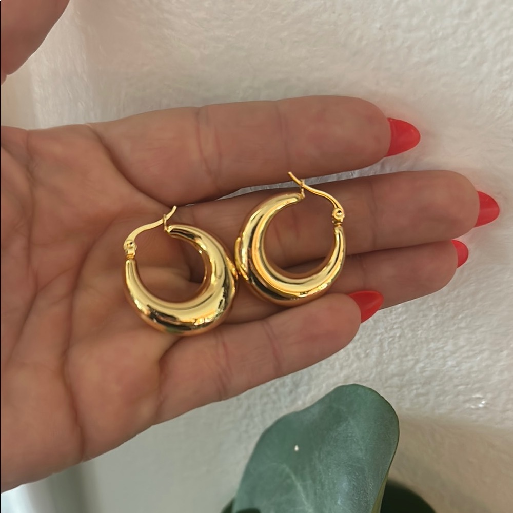 18k gold plated Hoop Earrings Stainless steel